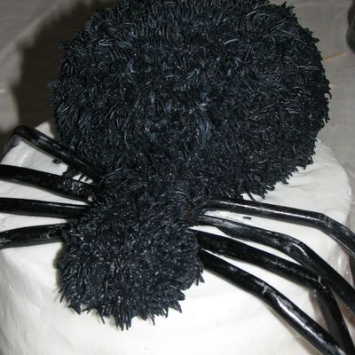 Spider Cake
