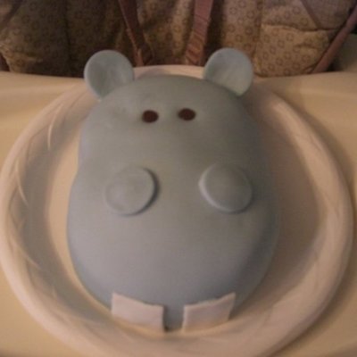 Hippopotamus Cake