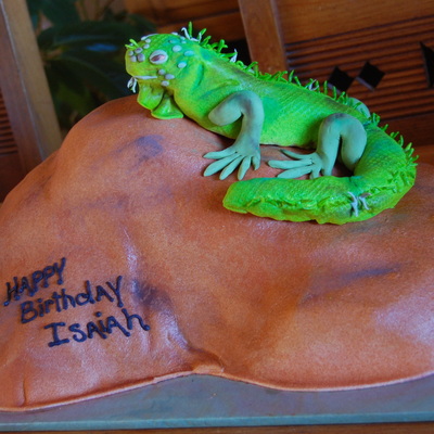 Iguana Birthday