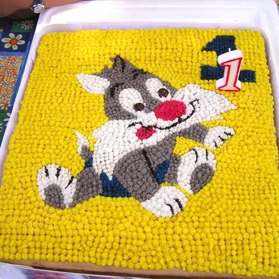 Zachary's First Birthday