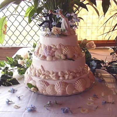 Seashore Wedding