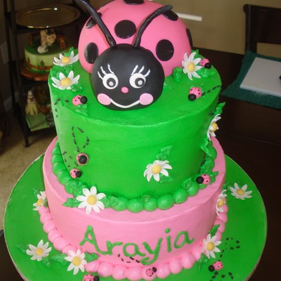 Lady Bug Cake