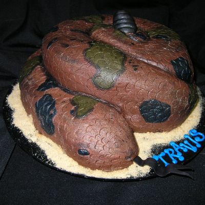 Travis' Snake Cake