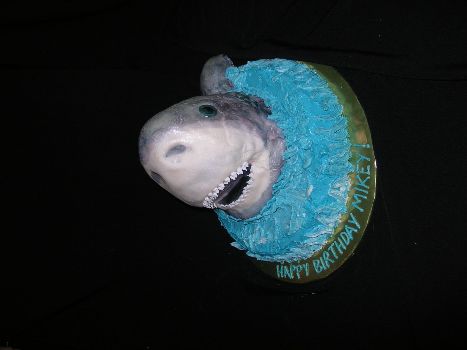 Shark Cake