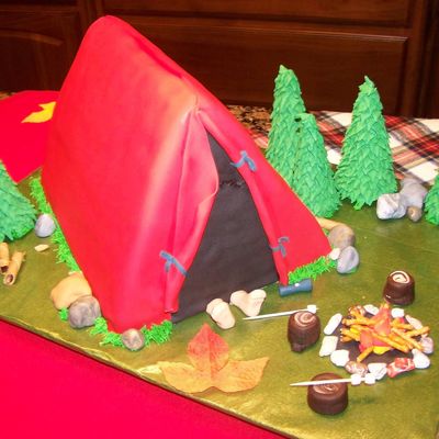 Travis' Camp Out Birthday