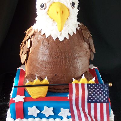James' Cub Scout Cake Contest