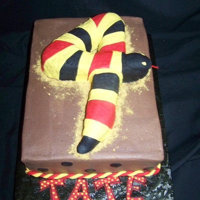 Tate's Coral Snake Cake