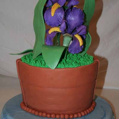 Iris Flower Pot