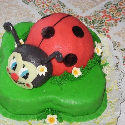 Lady Bug