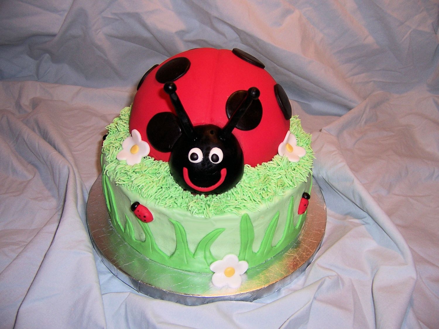 Ladybug Cake