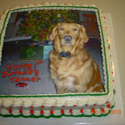 Doggie Birthday Cake