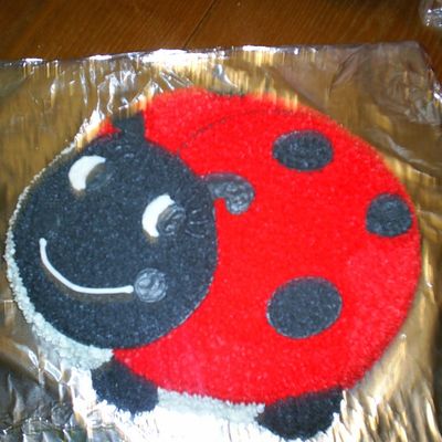 Ladybug