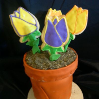 Flower Pot