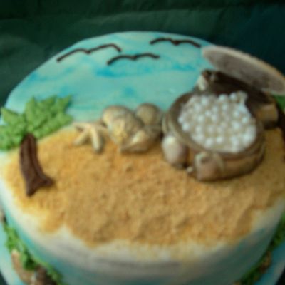 Seashell Cake