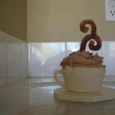 Chocolate Covered Cupcake