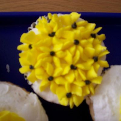 Cupcakes I Made In Class 1.