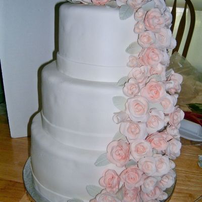 Heidi's Wedding Cake