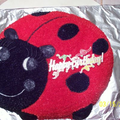 Ladybug Cake
