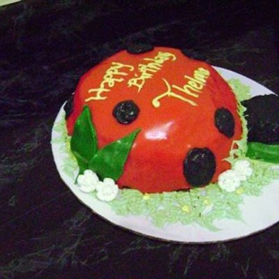 2Nd View Of Ladybug Cake