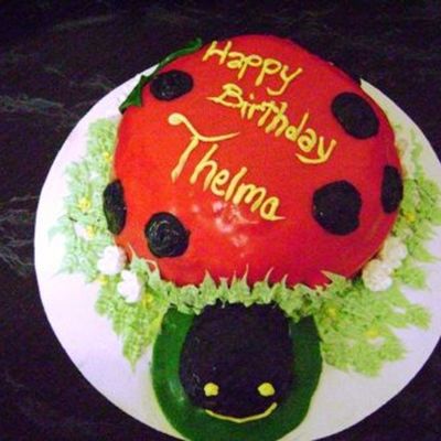 Ladybug Cake
