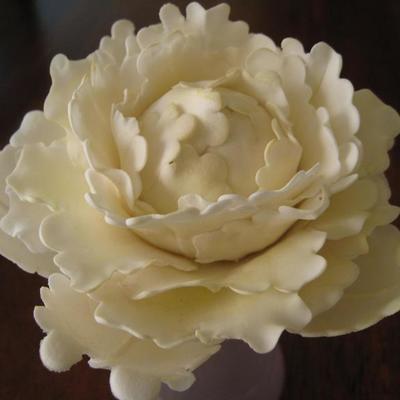 Gumpaste Peony