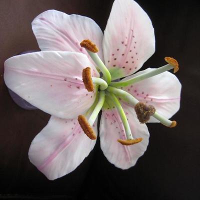 Stargazer Lily A La Edna