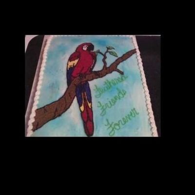 Macaw Parrot Cake