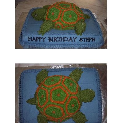 Turtle Cake