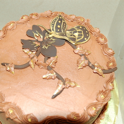 Chocolate Cricut Butterfly