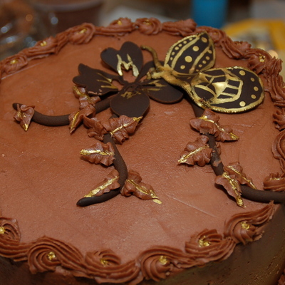 Chocolate Cricut Butterfly