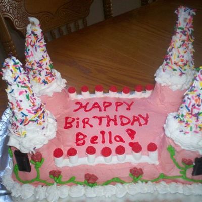 My 1St Castle Cake