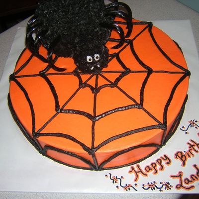 Spider N Web