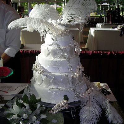 Winter Cake With Feathers