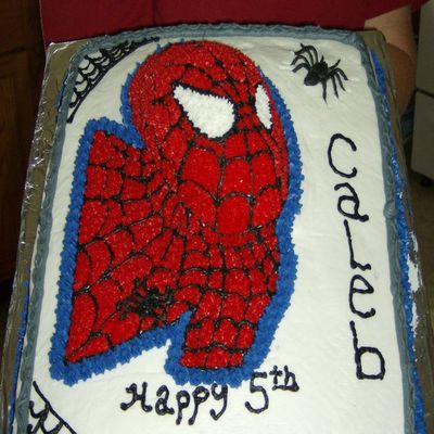 Spiderman For My Grandson