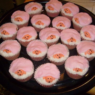 My First Baby Cupcakes