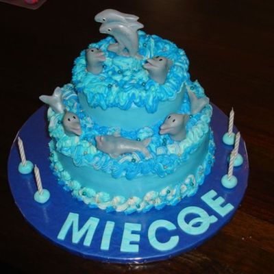 Dolphin Cake
