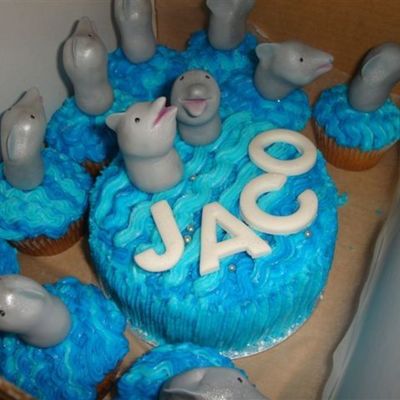 Dolphin Mini Cake And Cup Cakes