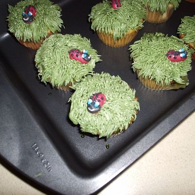 Ladybug Cupcakes