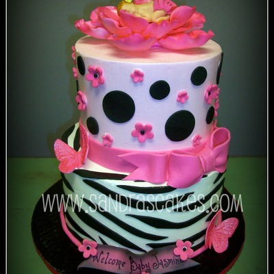 Pink And Black Baby Shower Cake