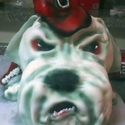 Ga Bulldog Cake