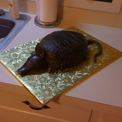 Red Velvet Armadillo