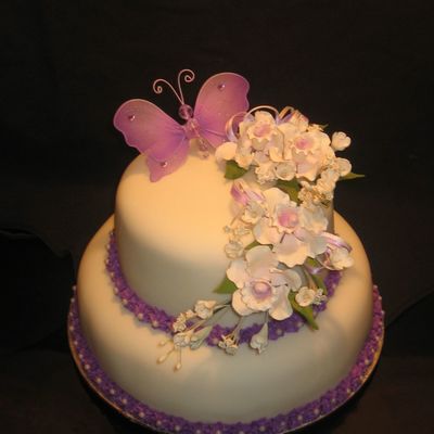 Bridal Shower Butterfly Cake