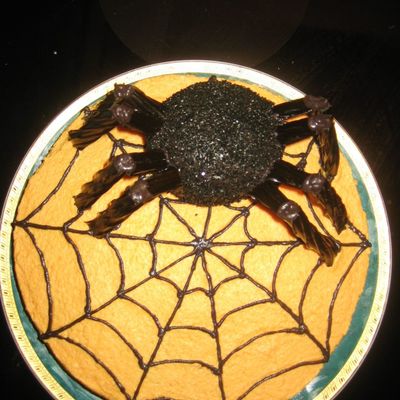 Spider Web