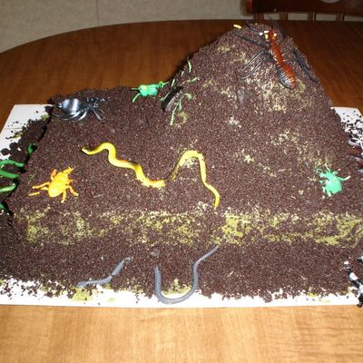 Bug Cake