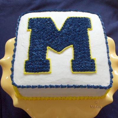 Michigan Cake