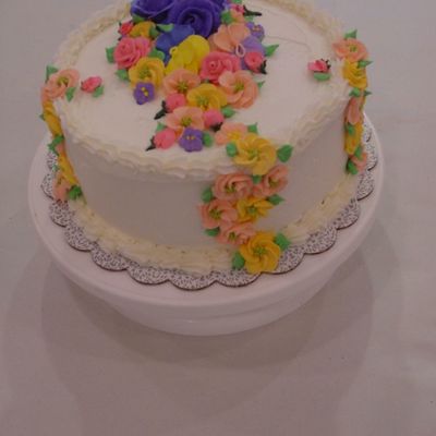 Another View Of Spring In Sacramento