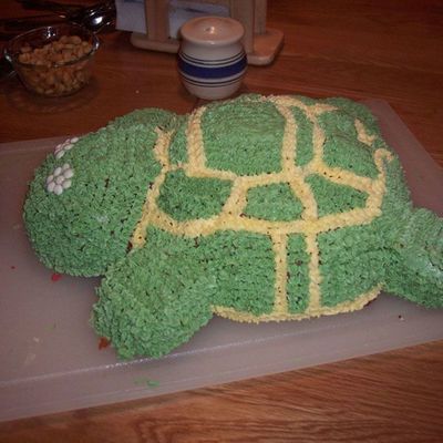 Graduation Tortoise Cake