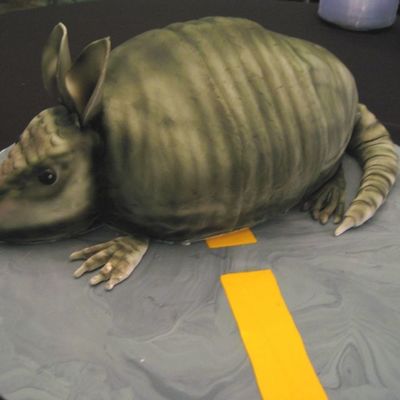 Armadillo In The Middle Of The Road