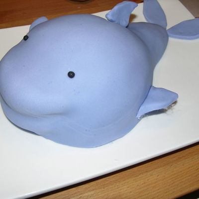 Dolphin Cake