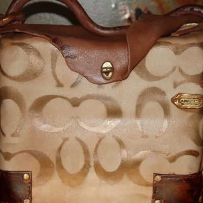 Coach Purse Cake